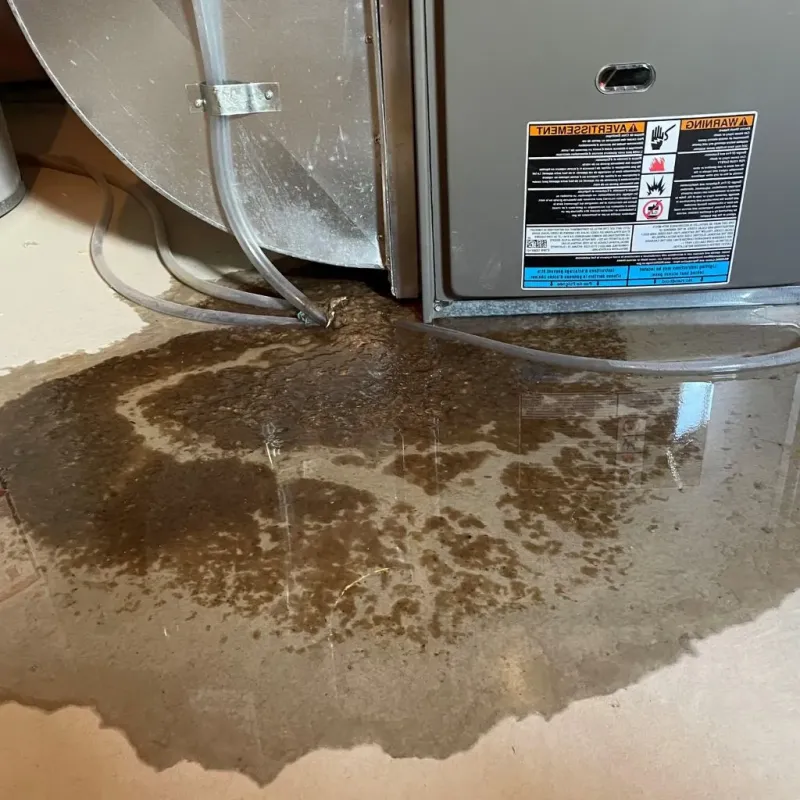 Pipe Burst and Leak Restoration in Murray County, MN